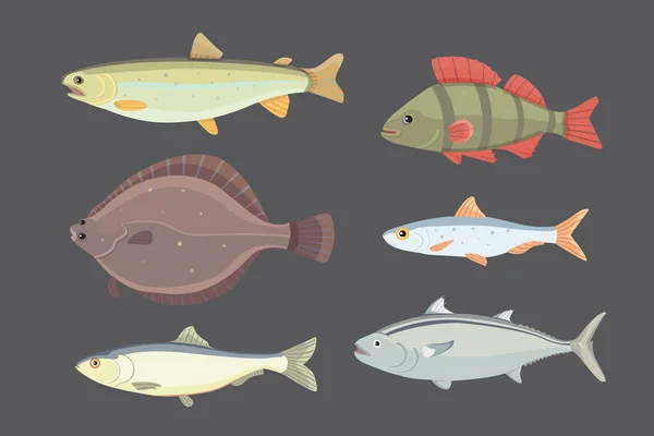 Poisson de rivière isolé. Ensemble de poissons de dessin animé de mer d'eau douce. Illustration vectorielle de la faune marine — Image vectorielle
