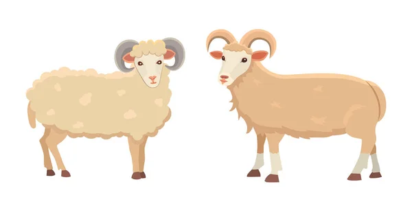 Векторный набор Cute Sheep и Ram изолированные ретро-иллюстрации. Силуэт стоящих овец на белом. Молочные животные на ферме — стоковый вектор