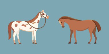 Şirin atlar çeşitli teşkil etmektedir tasarım vektör. Cartoon çiftlik vahşi izole at ve farklı düz midilli silüeti