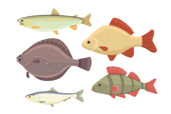 Peixe-rio isolado. Conjunto de peixes de água doce desenhos animados do mar. Fauna oceano vetor ilustração — Vetor de Stock