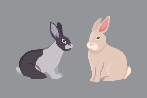Vector illustration of cartoon rabbits different breeds. Fine bunnys for veterinary design — Stock Vector