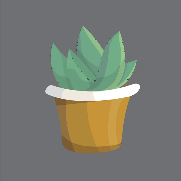 Platte huis plant cactus cartoon vectorillustratie. — Stockvector