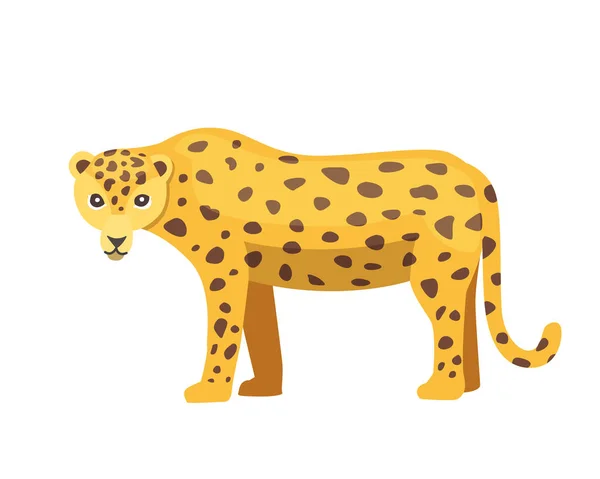 Jaguar kedi panther illüstrasyon karikatür