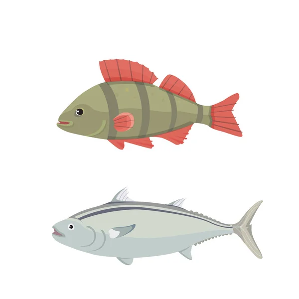 Isolated river fish. Set of freshwater sea cartoon fishes. Fauna ocean vector illustration — Stock Vector