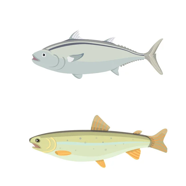 Isolated river fish. Set of freshwater sea cartoon fishes. Fauna ocean vector illustration — Stock Vector