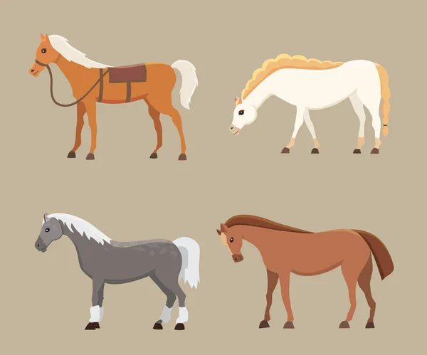 Симпатичные лошади в различных позах векторного дизайна. Мультфильм о дикой изолированной лошади и разном силуэте плоского пони — стоковый вектор
