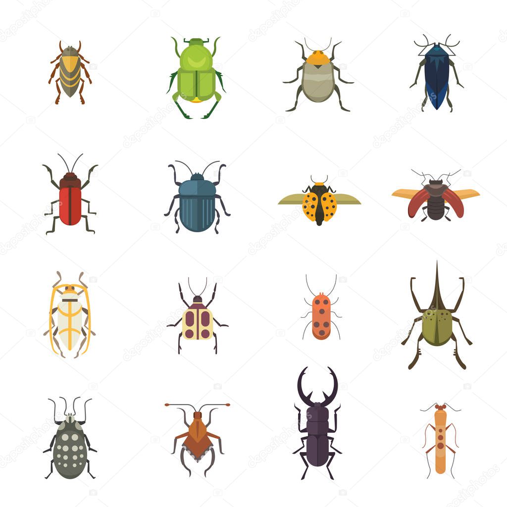 Set of insects flat style vector design icons. Collection nature beetle and zoology cartoon illustration. Bug icon wildlife concept