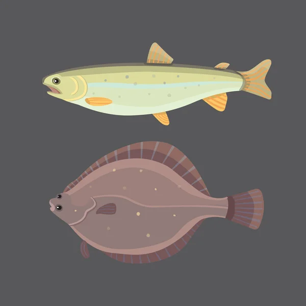 Geïsoleerde riviervis. Set van zoetwater zee cartoon vissen. Fauna Oceaan vectorillustratie — Stockvector