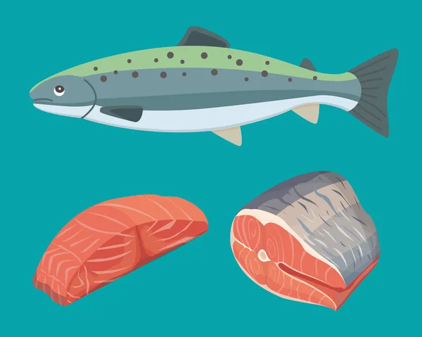 Vetor de frutos do mar ilustração vintage preto e branco de peixes de salmão. Objeto isolado . — Vetor de Stock