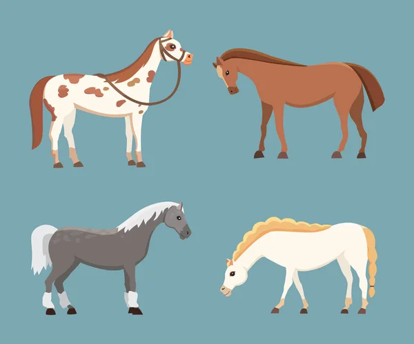 Cavalos bonitos em várias poses design vetorial. Fazenda dos desenhos animados cavalo isolado selvagem e silhueta diferente de pônei plano —  Vetores de Stock