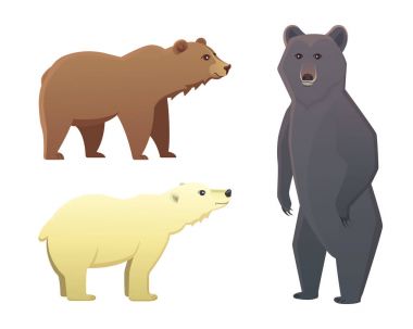 Beyaz arka plan üzerinde izole farklı karikatür ayılar ile koleksiyonu. Vektör broun ve siyah Amerikan ayı. Ayarlı yaban hayatı veya boz ayı Hayvanat Bahçesi.
