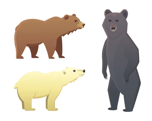 Colección con diferentes osos de dibujos animados aislados sobre fondo blanco. Vector broun y oso negro americano. Set Vida silvestre o zoológico grizzly . — Vector de stock