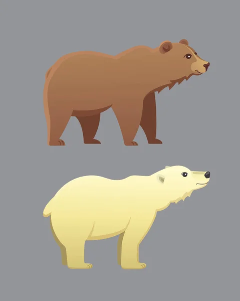 Collection with different cartoon bears isolated on grey background. Vector broun and white polar bear. Set Wildlife or zoo grizzly. — Stock Vector