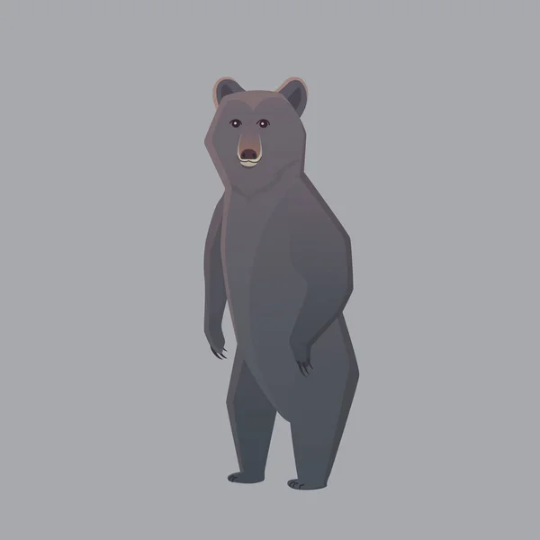 Orso nero americano. Illustrazione vettoriale Grizzly — Vettoriale Stock