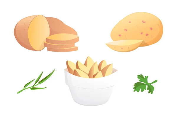 Conjunto de ilustração vetorial Batatas. Batata isolada sobre fundo branco . — Vetor de Stock