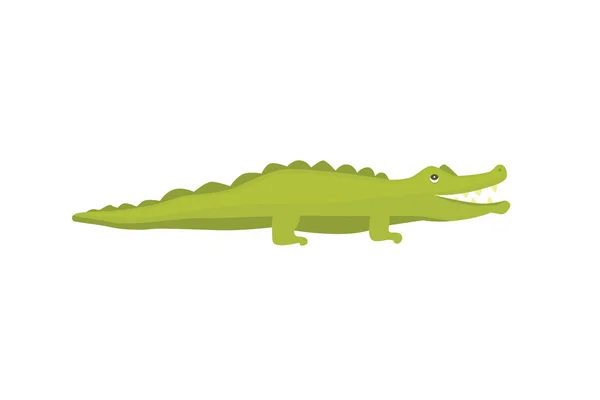 Carácter lindo cocodrilo. Aligator vector ilustración de dibujos animados — Vector de stock