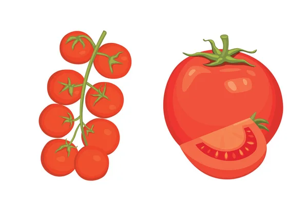 Taze kırmızı domates ve çorba vektör çizimler topluluğu. Yarım, dilim, kiraz domates. — Stok Vektör