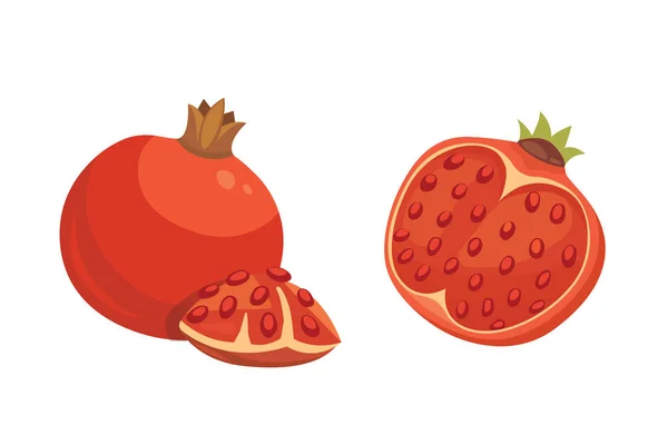 Verse, sappige rijpe granaatappel vruchten whith blad vectorillustratie — Stockvector