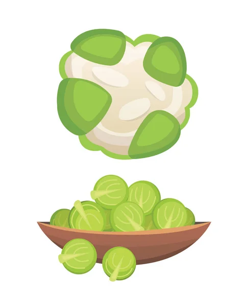 Set vecteur Chou et laitue. Chou vert aux légumes, autres choux différents . — Image vectorielle