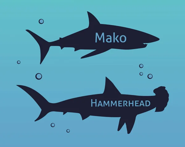 Ensemble de silhouettes requins isolés sur fond marin — Image vectorielle