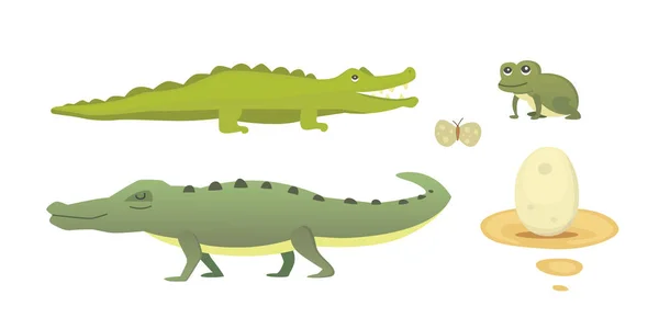 Lindo juego de cocodrilos. Aligator vector ilustración de dibujos animados — Vector de stock