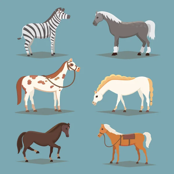 Sbírka izolovaných koní. Roztomilý kreslený kůň hospodářských zvířat. Různými číselnými chleby — Stockový vektor