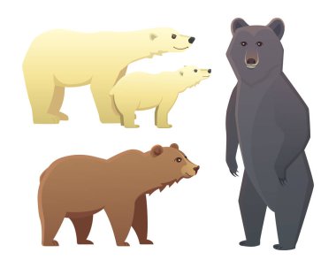 Beyaz arka plan üzerinde izole farklı karikatür ayılar ile koleksiyonu. Vektör broun ve siyah Amerikan ayı. Ayarlı yaban hayatı veya boz ayı Hayvanat Bahçesi.