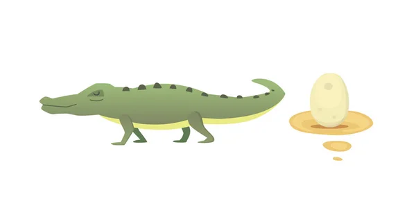 Niedliches Krokodilset. aligator Vektor Cartoon Illustration — Stockvektor