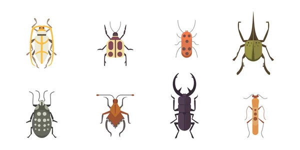 Sada hmyzu ploché styl vektorový design ikon. Kolekce příroda brouka a zoologie kreslený obrázek — Stockový vektor