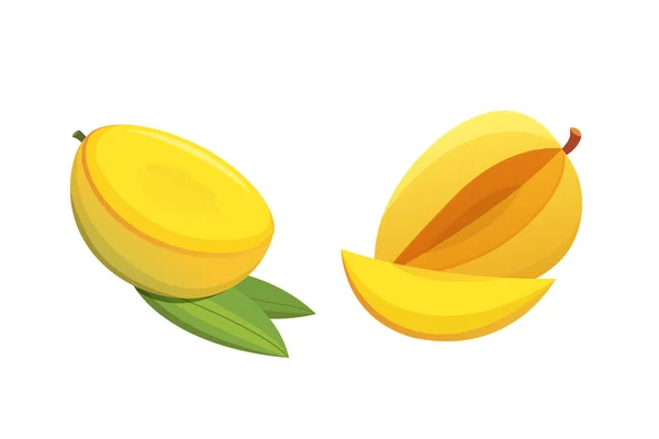 Mango yellow Fruit Isolated Vector illustration. Ripe fresh mangoes — Stock Vector