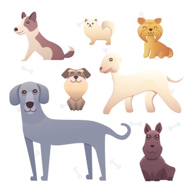 Safkan köpekler grubudur. Gösterim amacıyla köpek eğitim kursları, doğurmak kulüp açılış sayfası ve kurumsal site tasarımı