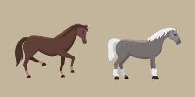 Şirin atlar çeşitli teşkil etmektedir tasarım vektör. Cartoon çiftlik vahşi izole at ve farklı düz midilli silüeti