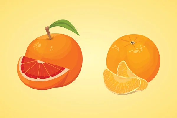 Векторная коллекция свежих спелых апельсинов и мандаринов с листьями. вектор оранжевый . — стоковый вектор