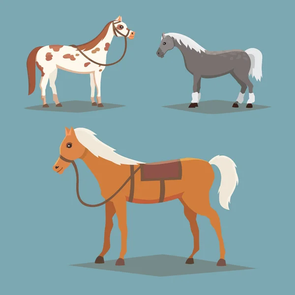 Verzameling van geïsoleerde paarden. Schattige cartoon paard boerderijdieren. Differend broden — Stockvector