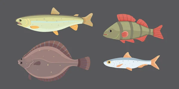 Άλλα-Ποταμίσια ψάρια που απομονώνεται. Το σύνολο των κινουμένων σχεδίων ψάρια του γλυκού νερού στη θάλασσα. Εικονογράφηση διάνυσμα ωκεανό πανίδα — Διανυσματικό Αρχείο