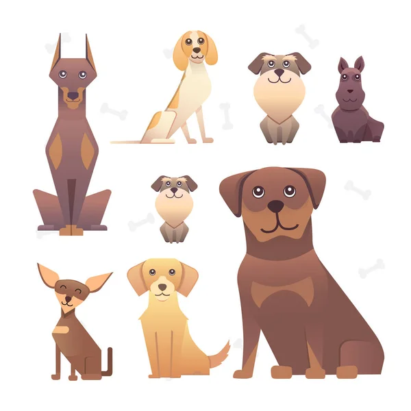 Skupina z čistokrevných psů. Ilustrace pro školení psa, plemeno klubu vstupní stránky a design firemních stránek — Stockový vektor