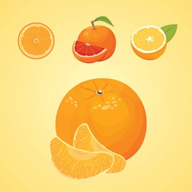Olgun taze portakal ve mandalina yaprakları ile vektör koleksiyonu. vektör turuncu.