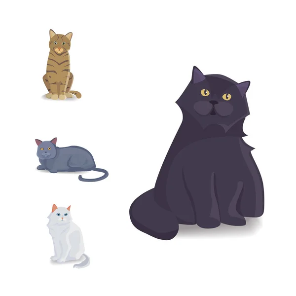Farklı Türlerin Kedileri Koleksiyonu. Beyaz zemin üzerinde vektör izole kedi. Ev hayvanı ya da evcil hayvan. Minik kedi yüzleri. — Stok Vektör