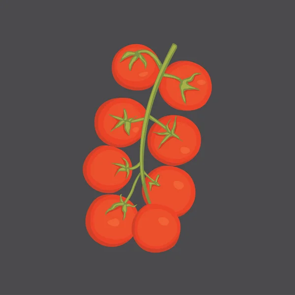 Συλλογή από φρέσκιες κόκκινες ντομάτες και εικονογραφήσεις φορέα σούπα. Μισό, φέτα, ντομάτα. — Διανυσματικό Αρχείο