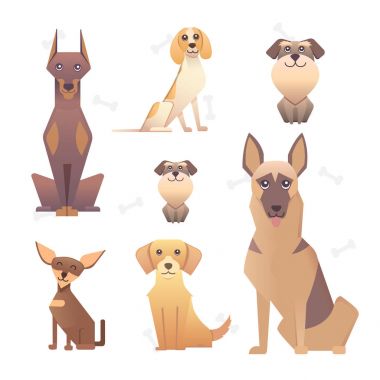 Safkan köpekler grubudur. Gösterim amacıyla köpek eğitim kursları, doğurmak kulüp açılış sayfası ve kurumsal site tasarımı