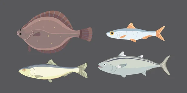 Peces de río aislados. Conjunto de peces de dibujos animados de agua dulce del mar. Fauna océano vector ilustración — Vector de stock