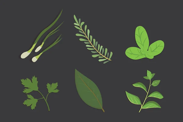 Conjunto de hierbas de dibujo y flores, vector. Especias aisladas. Ilustración herbal . — Vector de stock