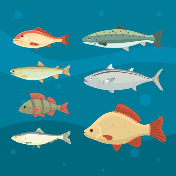 Peces de río aislados. Conjunto de peces de dibujos animados de agua dulce del mar. Fauna océano vector ilustración — Vector de stock