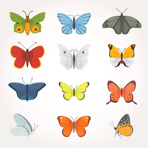 Printset barevné ilustrace Design vektor Butterfly. letní hmyz — Stockový vektor