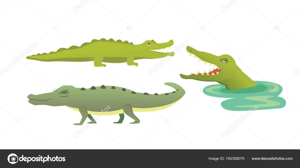 新鮮なワニ イラスト かわいい 美しい花の画像