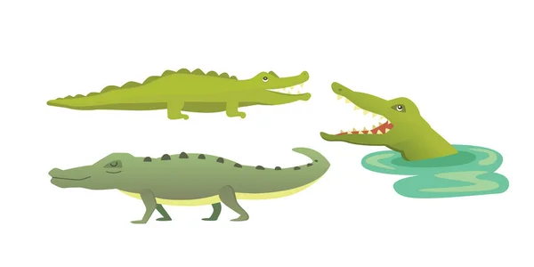 Leuke krokodil instellen. Vectorillustratie cartoon Aligator — Stockvector