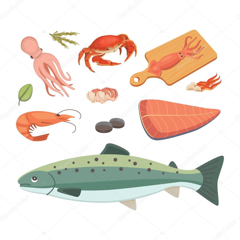 Vector Seafood illustrations set flat fresh fish and crab. Lobster and oyster, shrimp and menu, octopus animal, shellfish lemon.