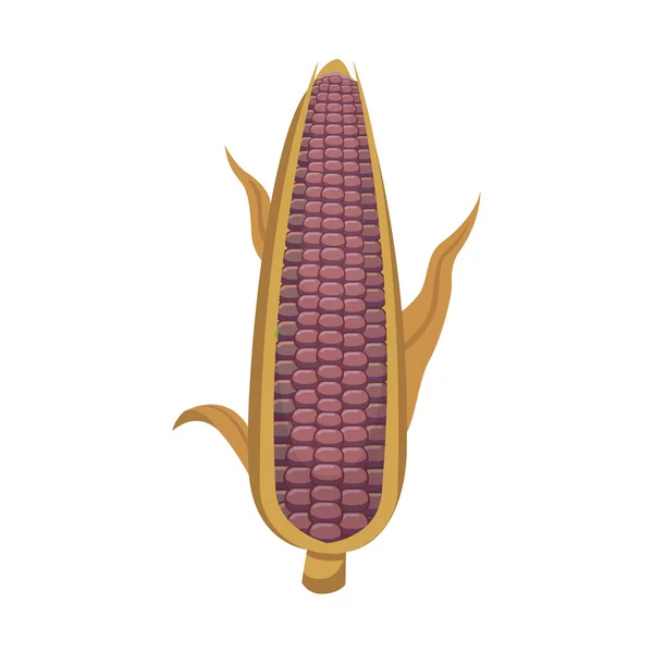 Органические кукурузы изолированы на белом фоне. Сельскохозяйственные овощи для вектора попкорна — стоковый вектор