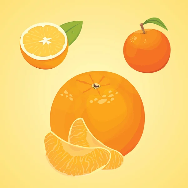 Colección vectorial de naranjas frescas maduras y mandarinas con hojas. vector naranja . — Archivo Imágenes Vectoriales