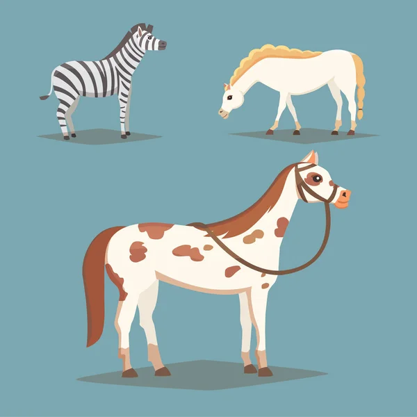 Η συλλογή των απομονωμένων άλογα. Κινουμένων σχεδίων χαριτωμένο άλογο εκτρεφόμενα ζώα. Συγγραφή διαφόρων ψωμιά — Διανυσματικό Αρχείο
